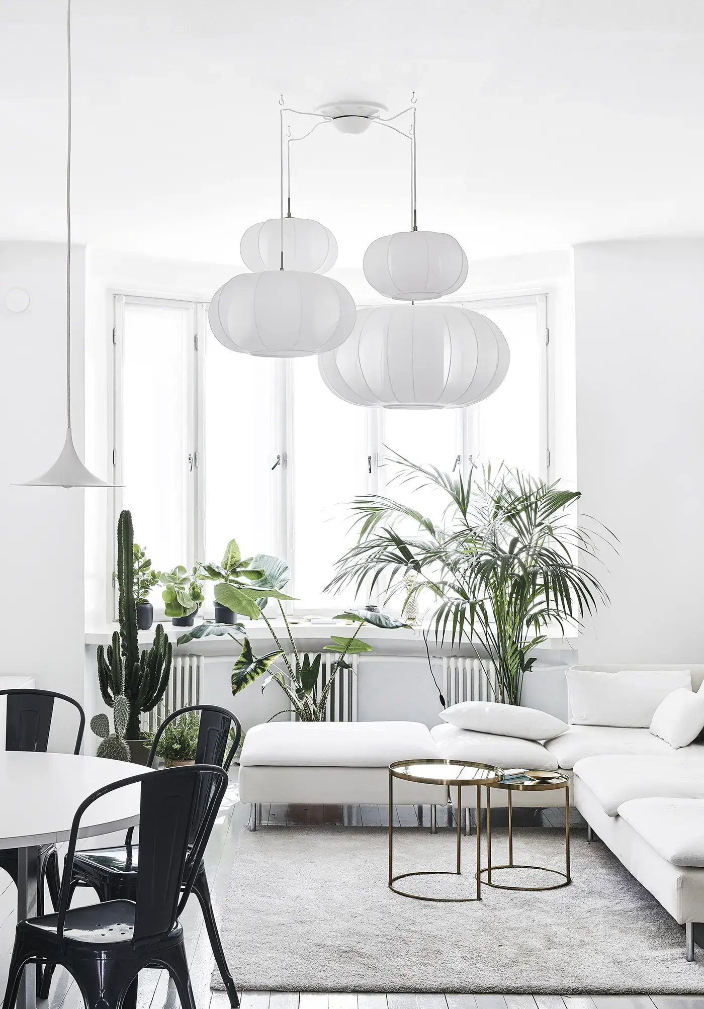 Cozy Publishing - Vente Livre sur la maison et le jardin - Green Home Book - Intérieurs inspirants centrés sur les plantes5