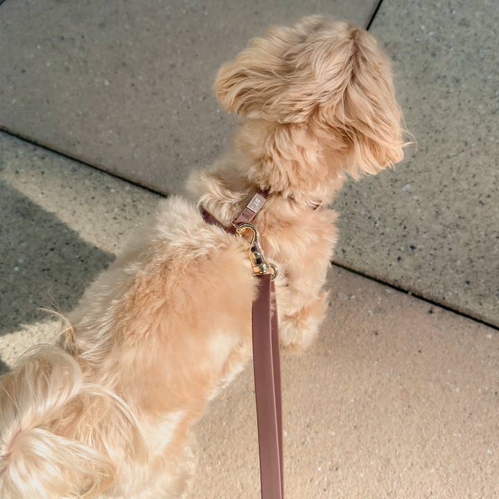 SUNNY TAILS - Vente Harnais – chien - Harnais pour chien Espresso Brown Cloud Lite12