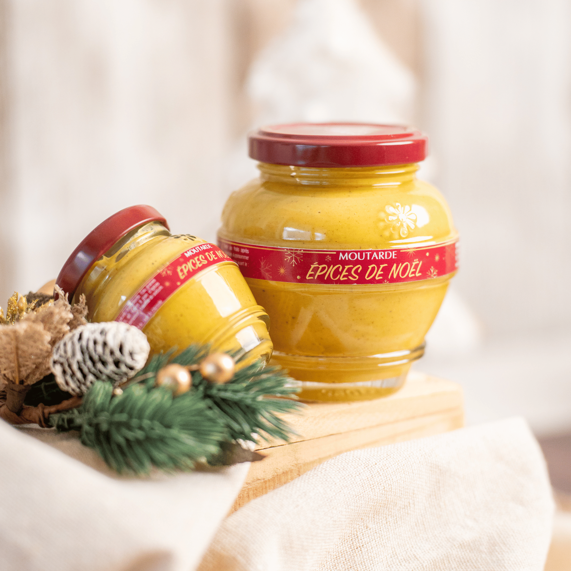 DOMAINE DES TERRES ROUGES - Wholesale Mustard - Christmas Spices Mustard 55 g1