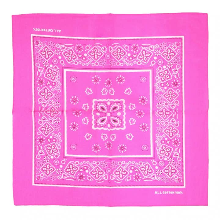 Topkids Accessories - Wholesale Bandana - Unisex - Paisley Bandanas Hair Bands Headbands Women Men Dogs Head Bands Festival Bike Accessories Face Masks Holiday Essentials Head Scarf31