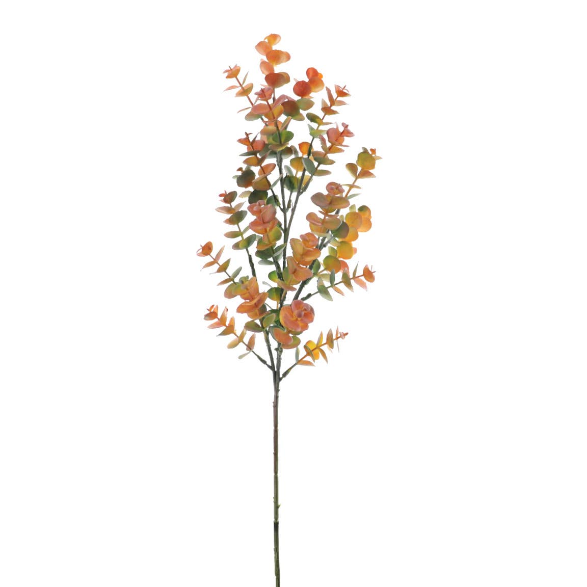 Concari.flores Preservadas - Wholesale Artificial Flowers - ARTIFICIAL EUCALYPTUS1