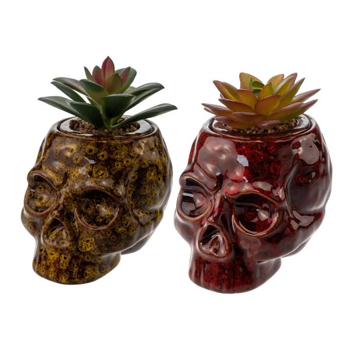 Fujima Skull Planter Stash Jar for wholesale by Up N Smoke
