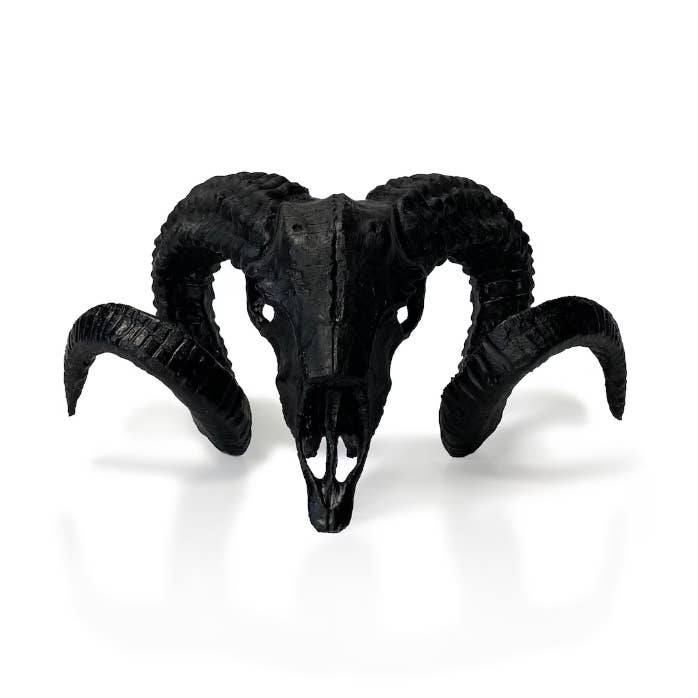 Ram Skull Table Top or Wall Mounted for wholesale by G7T6