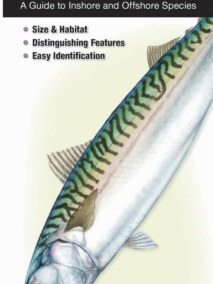 Pesci d'acqua salata degli Stati del Nord e del Medio Atlantico per la vendita all'ingrosso da parte di Quick Reference Publishing, Inc