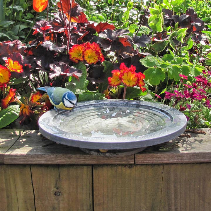 Oasis Aristotle Bird Bath for wholesale by Wildlife World Ltd