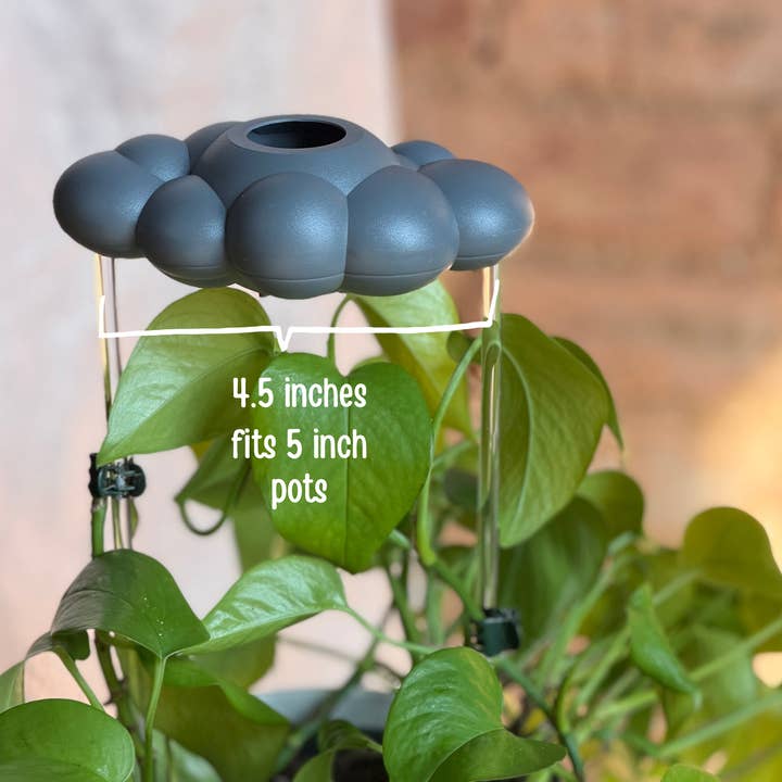 The Cloud Makers – wholesale Vattenkanna – Stormig droppande regnmoln för växtvattning16