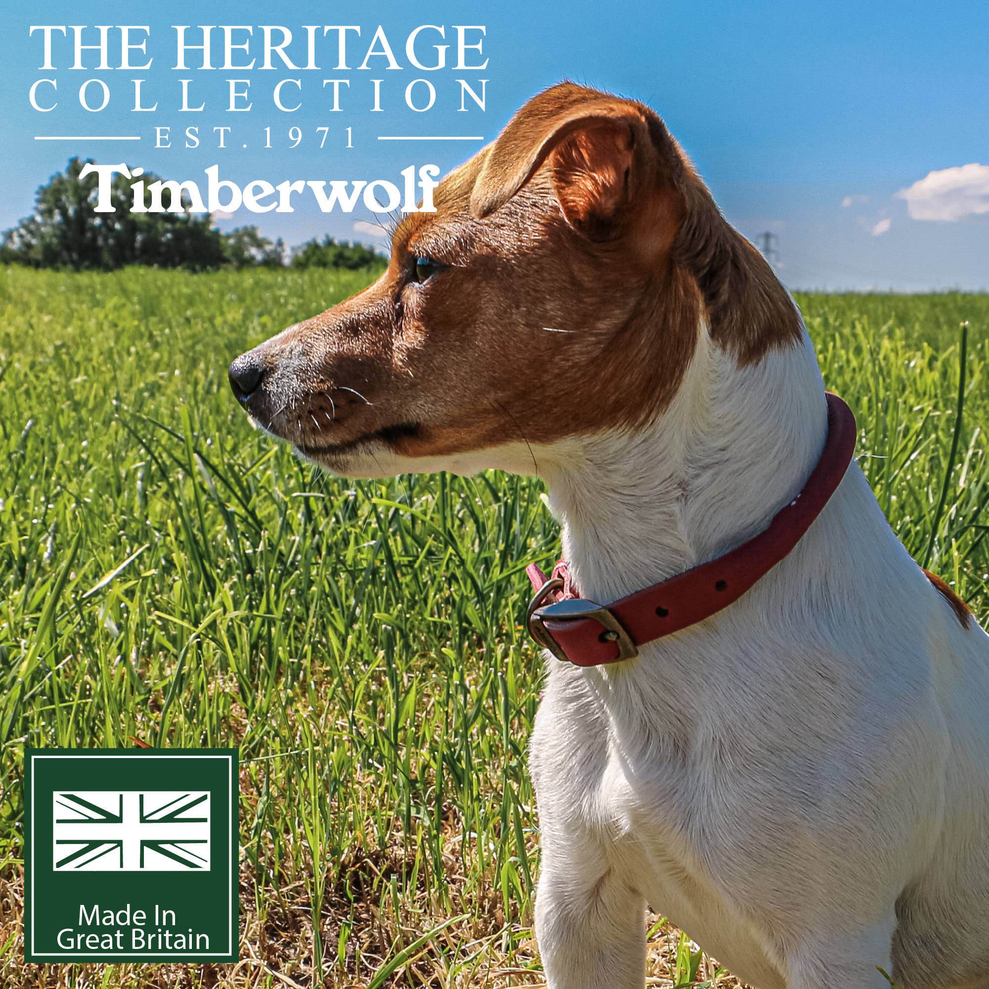 Ancol Pet Products Ltd - Wholesale Pet Collar - Dog - Timberwolf Round Collar9