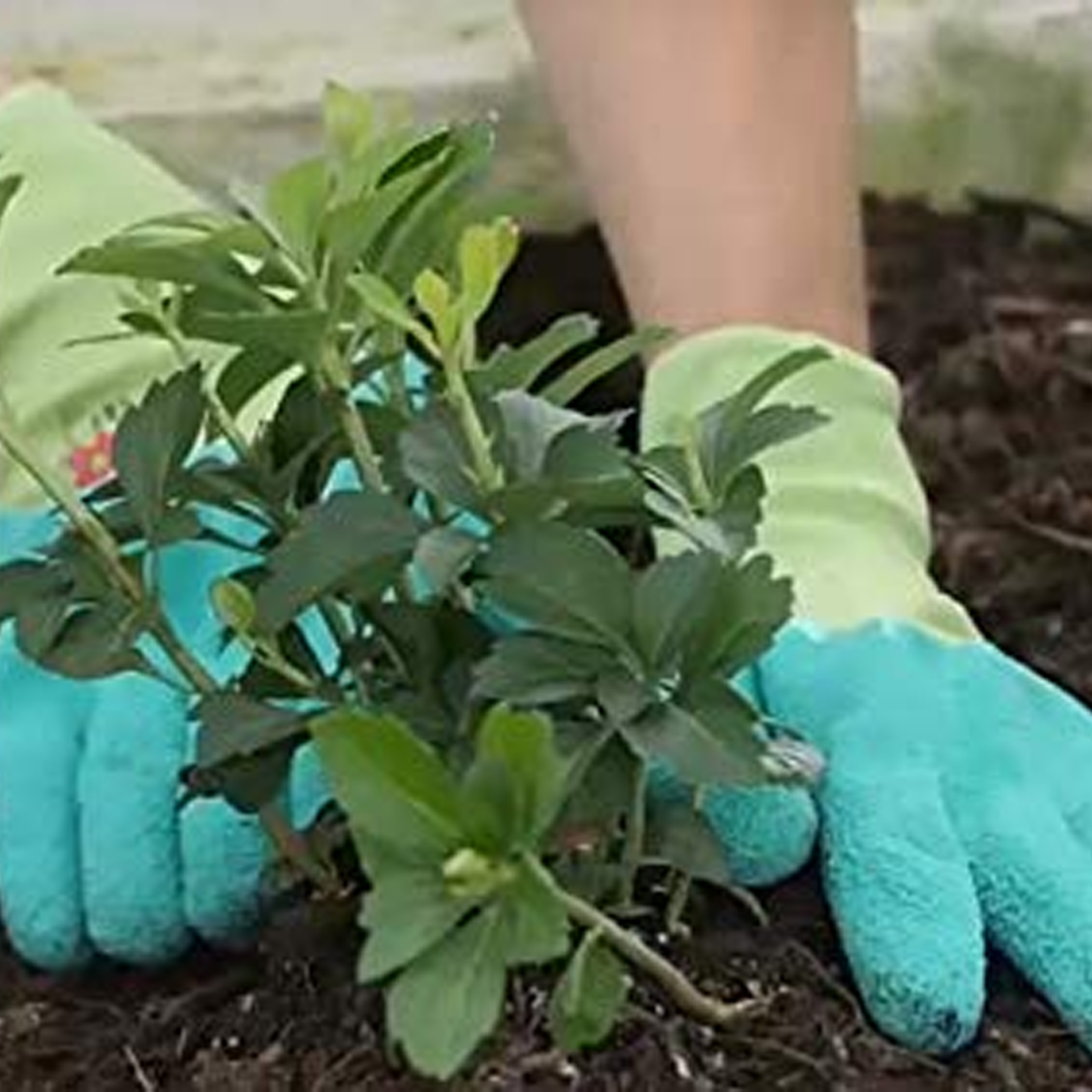 G & F Products - Wholesale Garden gloves - Women MicroFoam Coated Gardening Gloves Durable Flexible 3Pc4