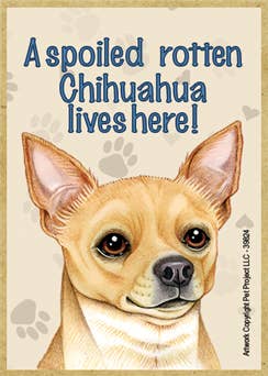 SJT Enterprises, Inc. - Wholesale Magnet - A spoiled rotten Chihuahua (Tan) lives here!0