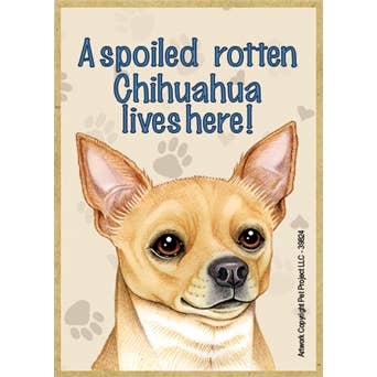 A spoiled rotten Chihuahua (Tan) lives here! for wholesale by SJT Enterprises, Inc.
