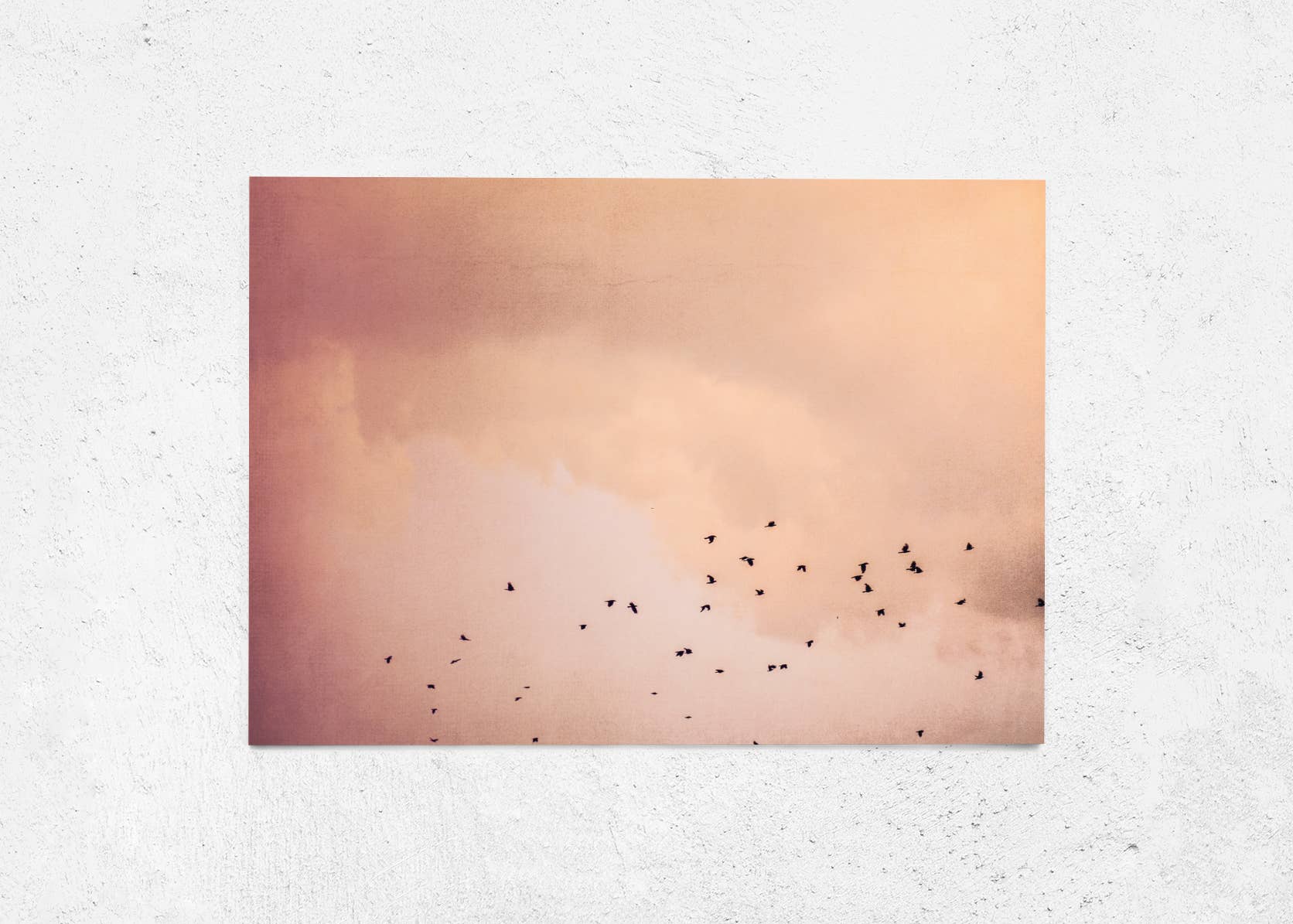 Justepixx - Wholesale Postcard - Postcard birds in the sky A60