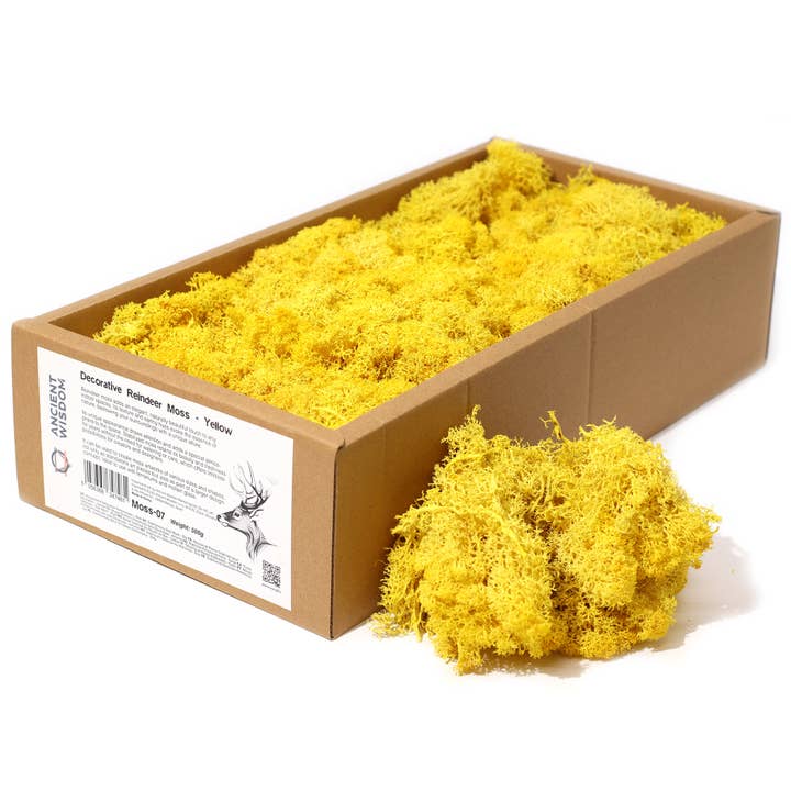 AWGifts Europe - Wholesale Live Plant - Quality Decorative Reindeer Moss - 635g Box6