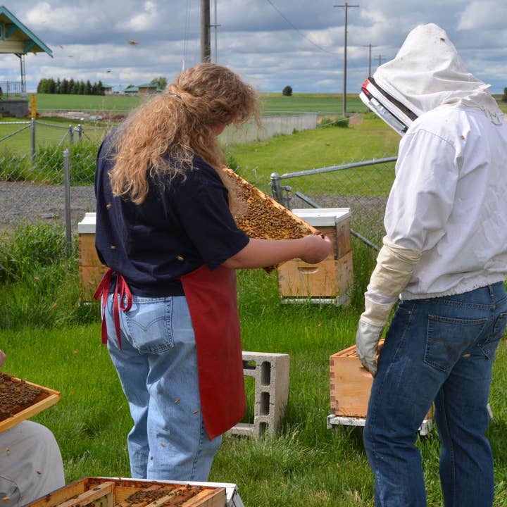 Bees-to-Bubbles Handcrafted Soaps - Venta al por mayor Pastilla de jabón - Jabón suciedad3