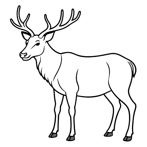 Berbician - Wholesale Sausage - Reindeer Sausage5