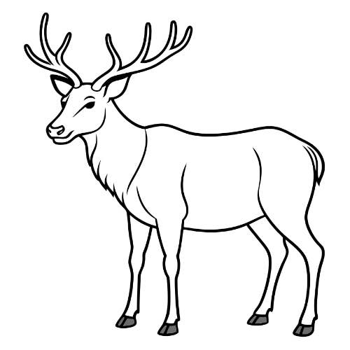 Berbician Canada - Wholesale Sausage - Reindeer Sausage5