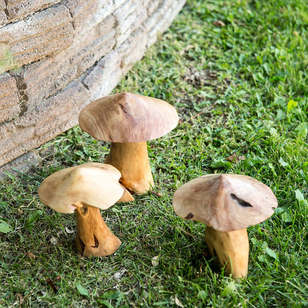 Garden Age Supply - Vente Bibelots/décorations d'extérieur - Champignons à la racine d'arbre à thé3