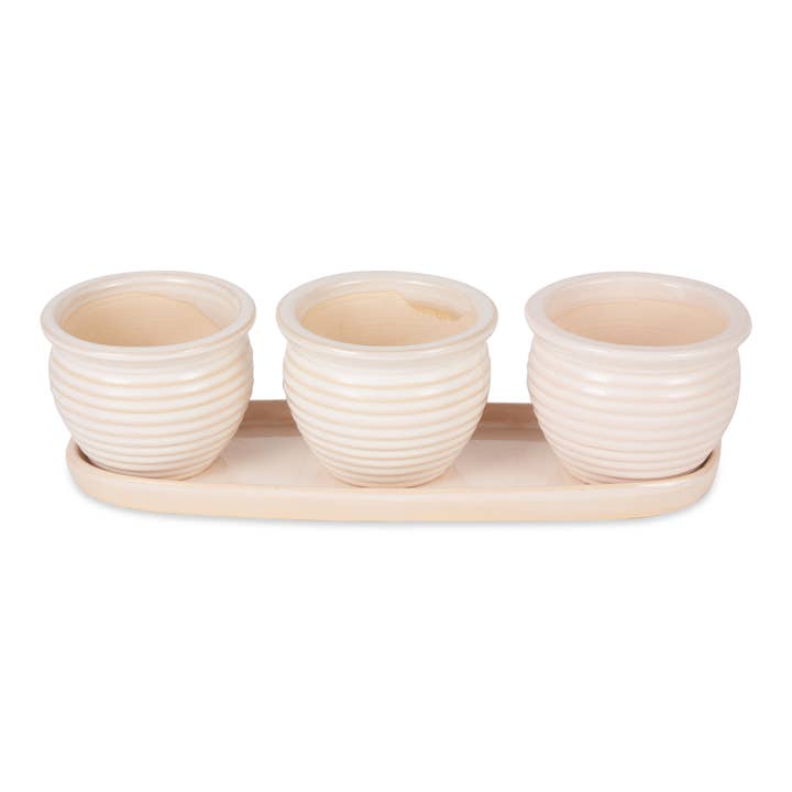 Zingz Home - Wholesale Plant Pot - Cream Round Ceramic Small Planter Set Of 3