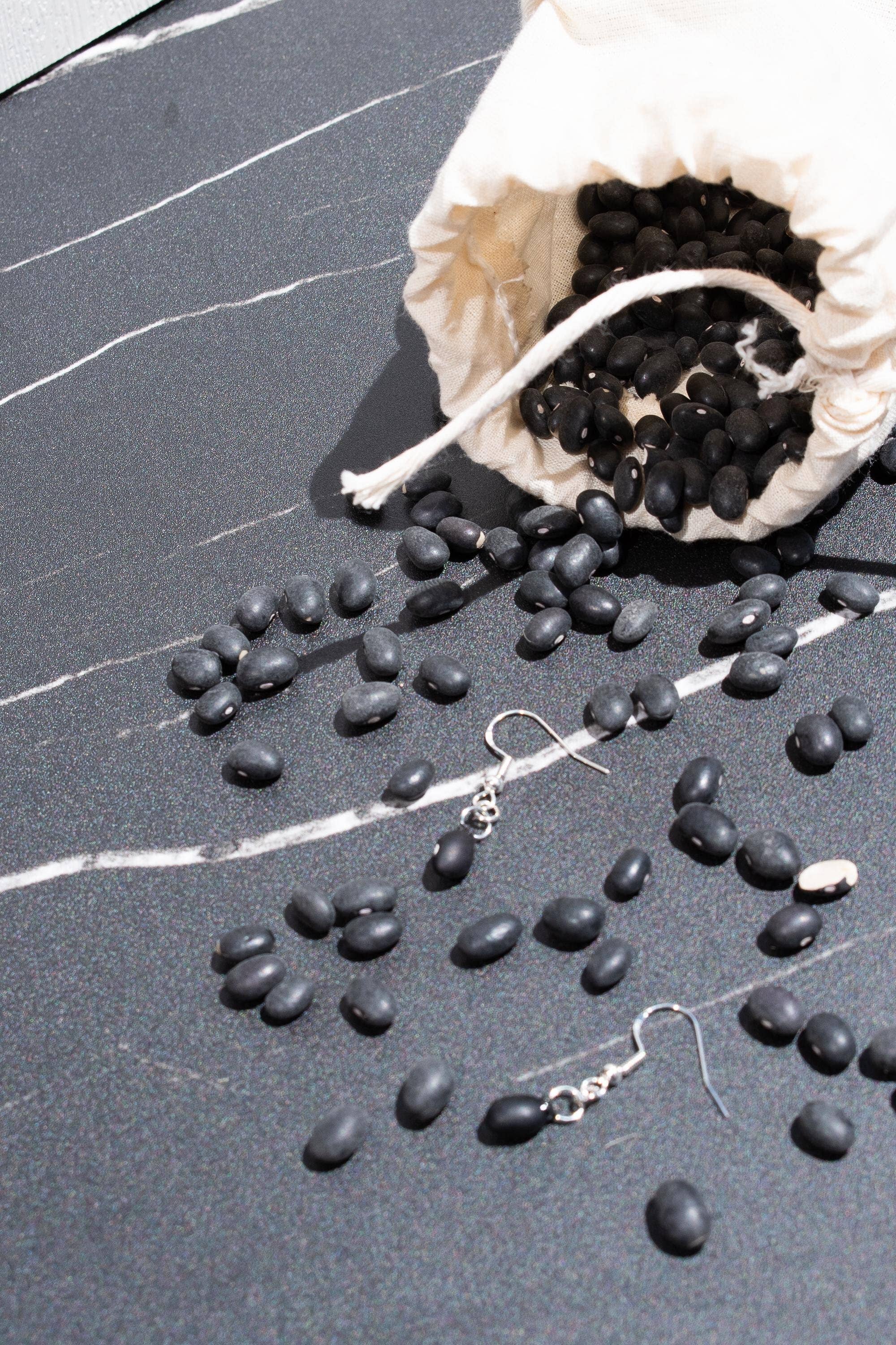 Shutterhaus - Wholesale Dangle Earrings - Organic Dried Black Bean Hypoallergenic Earrings #21