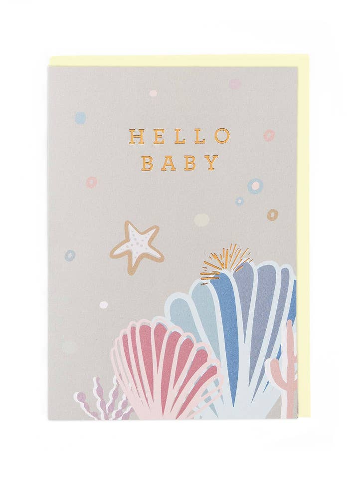 HELLO BABY SHELL for wholesale by Cath Tate Cards