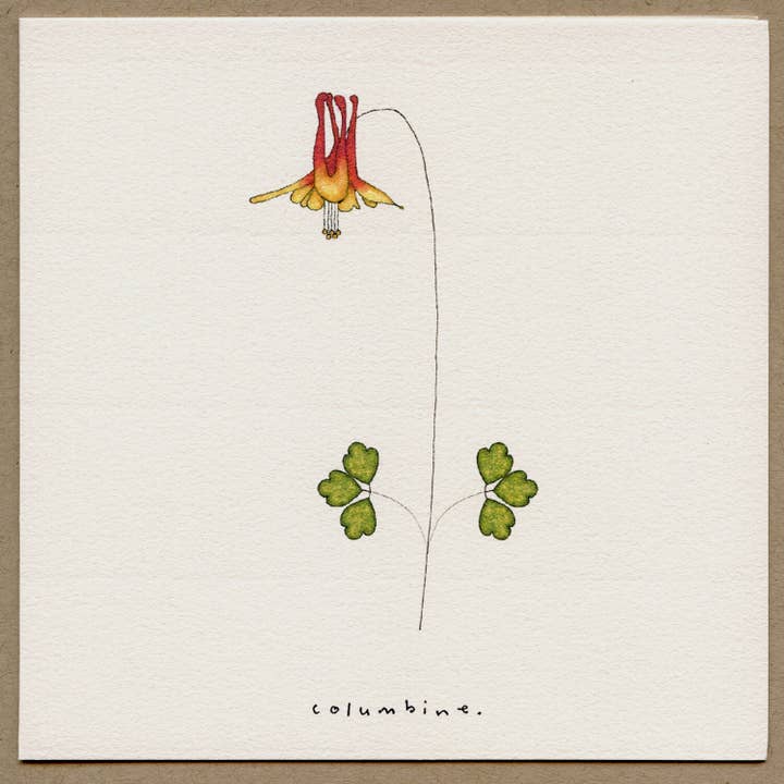 Columbine-Greeting Card. for wholesale by Beth Mueller