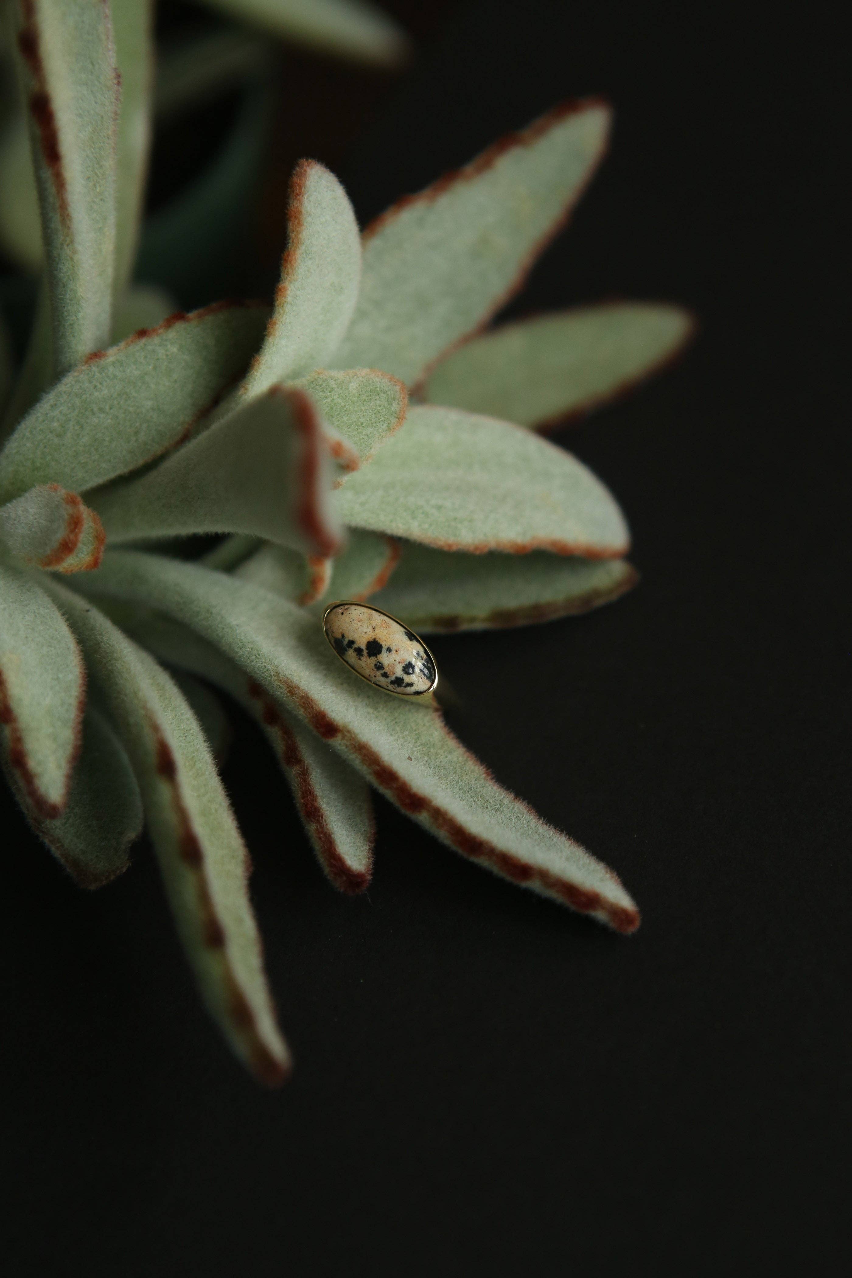 CIVAL Collective - Wholesale Signet Ring - Koda Ring16