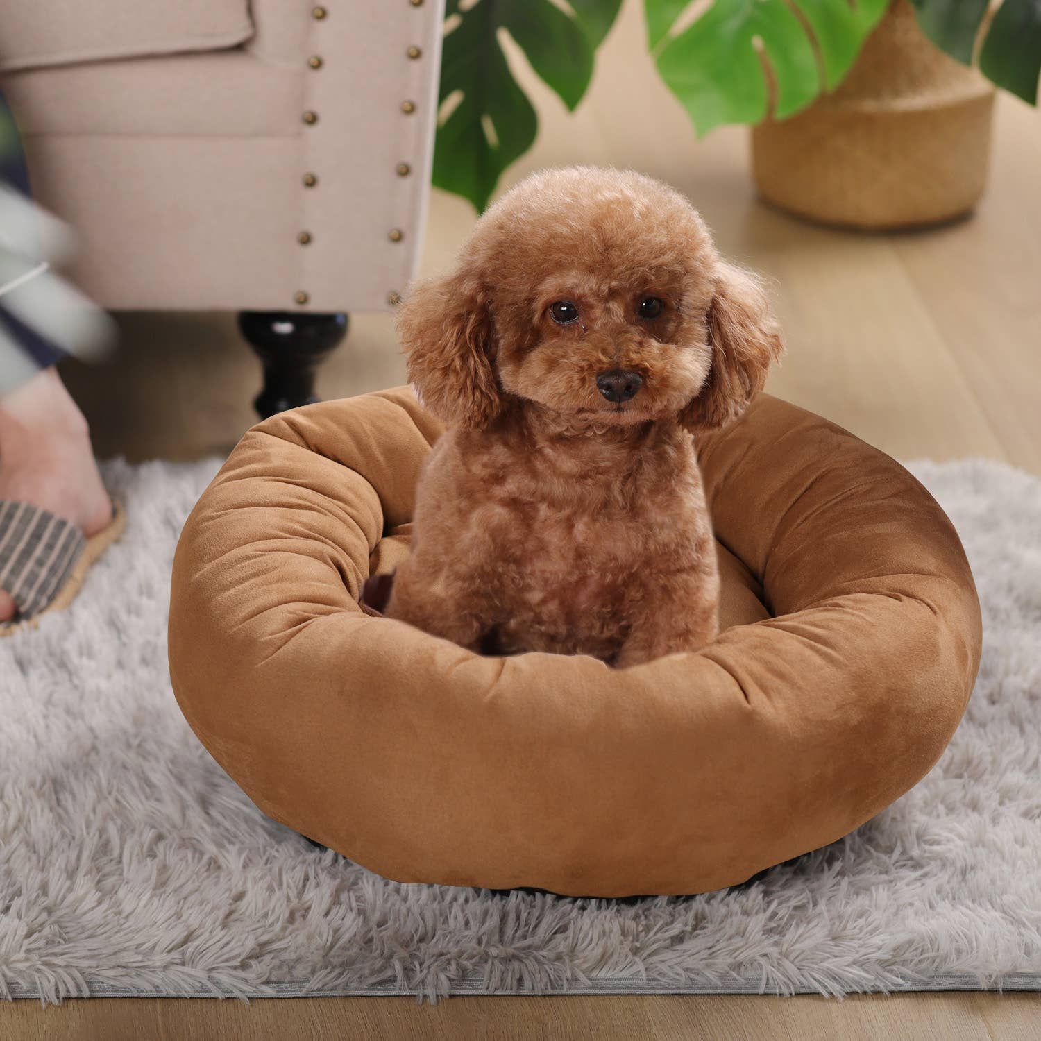 Kasentex - Wholesale Pet Bed - Dog - Dog Bed Round Soft Cushion Donut Shape6