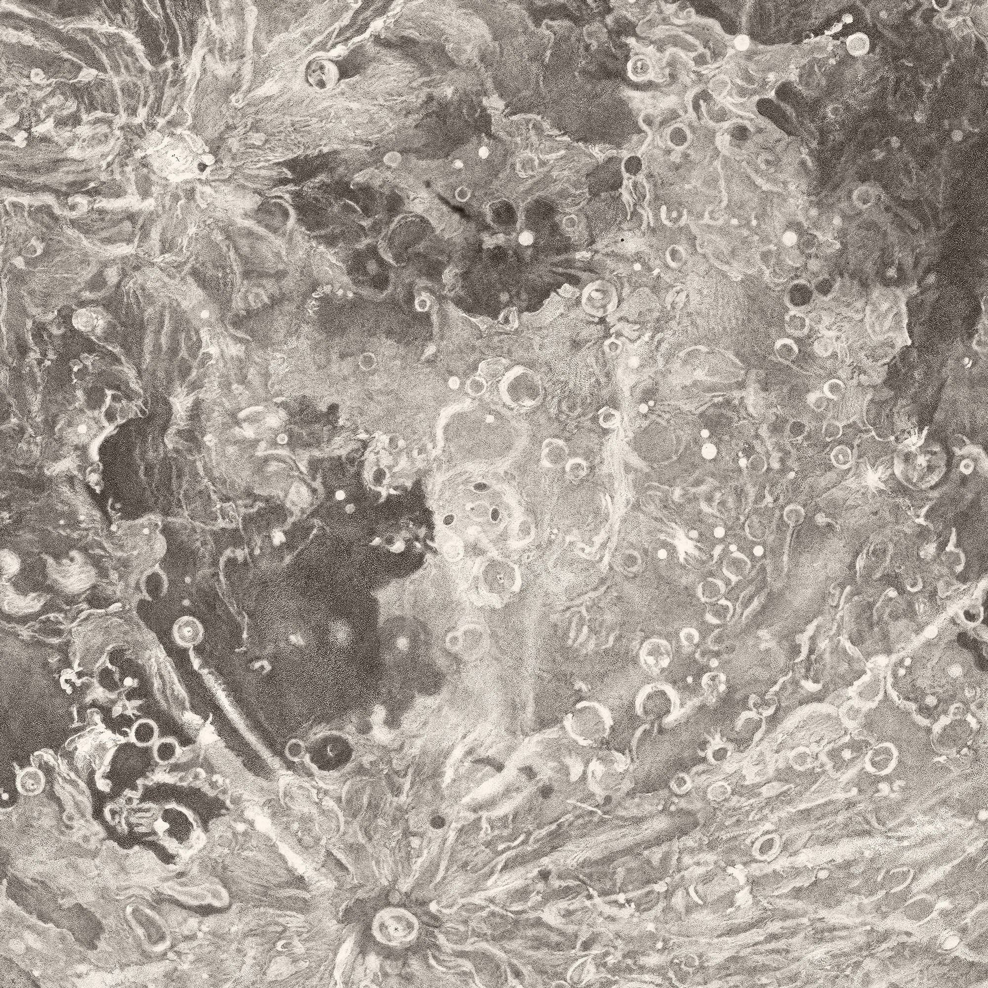 Aster Edition - Wholesale Poster - Poster: Moon Map - John Russel4