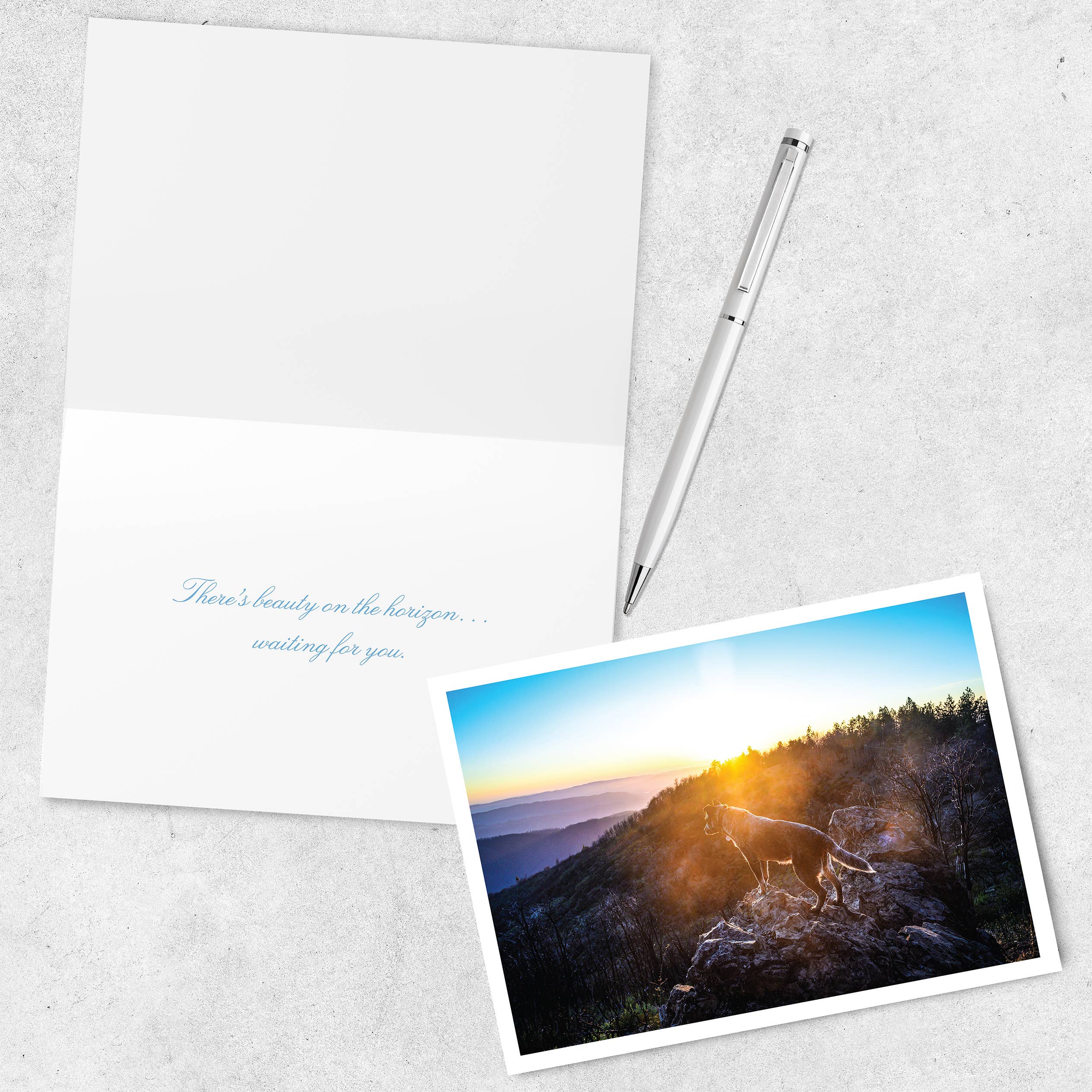 Palm Press - Vente Cartes d'encouragement - Carte d'encouragement Frannie et la montagne2