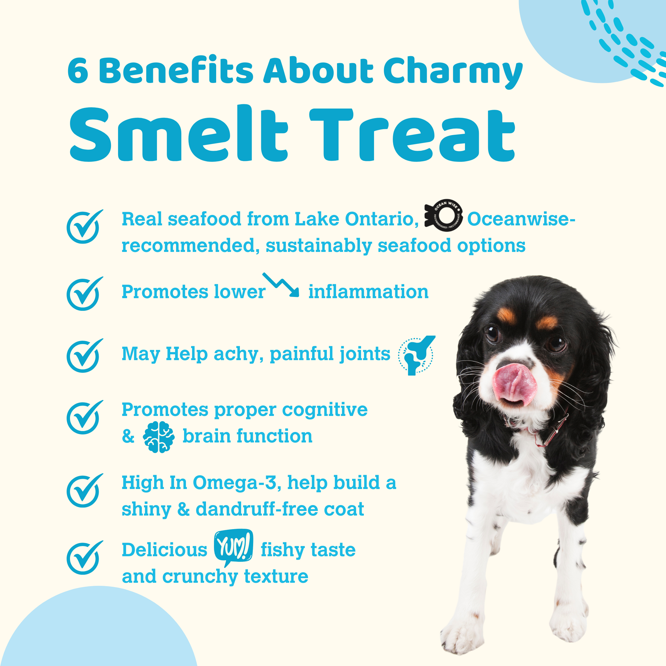 Charmy Pet - Wholesale Pet Treats - Dog - LAKE SMELT1