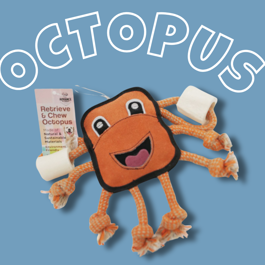 Advance Pet Products - Wholesale Pet Rope Toy - Dog - Rope and Bone Toy: Octopus and Crab tug and chew toys made w0