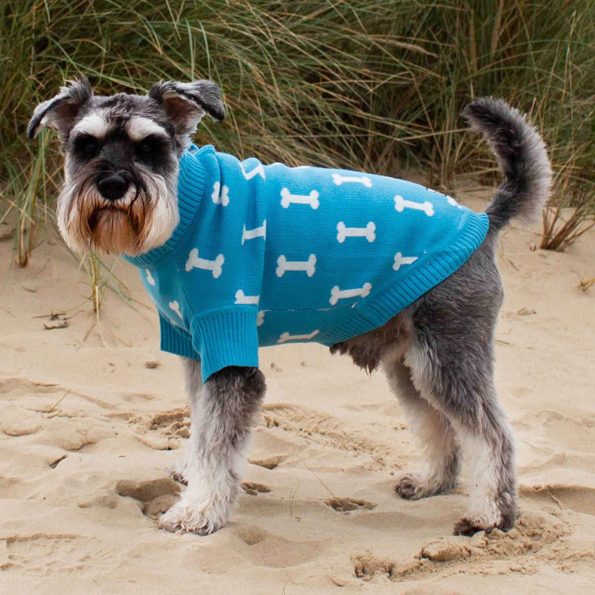 The Woofing Wardrobe - Wholesale Pet Sweater - Dog - Turq Bone Intarsia Organic Cotton Dog Jumper - The Stamford1