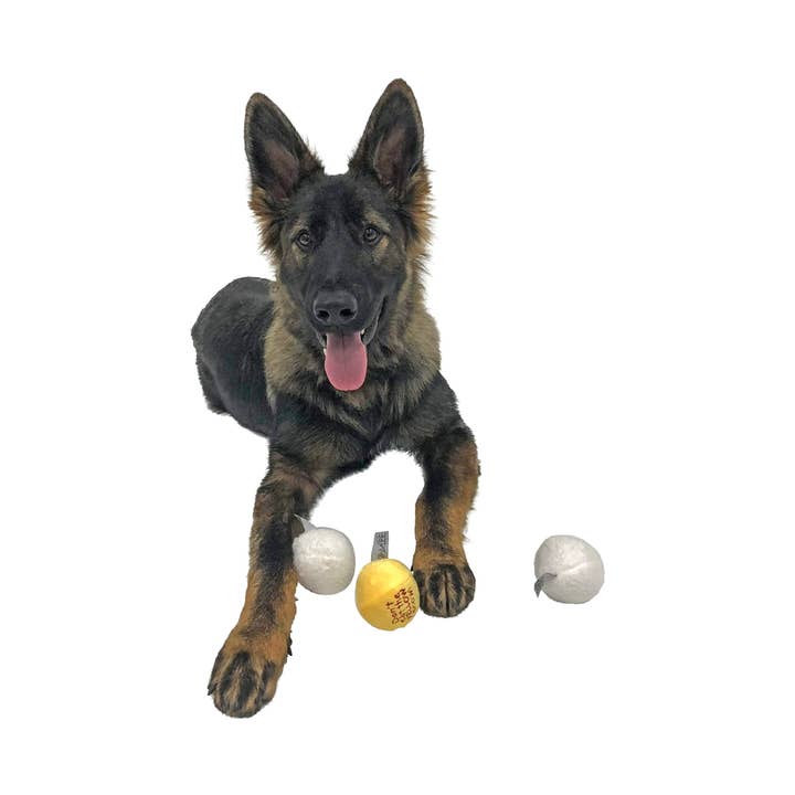 Midlee Designs - Wholesale Pet Plush Toy - Dog - Midlee Snowball Fight Plush Dog Toy