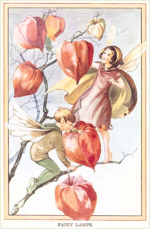 Found Image Press - Vendita all'ingrosso Calamite - Magnete KF-370 Lampade Fatate0