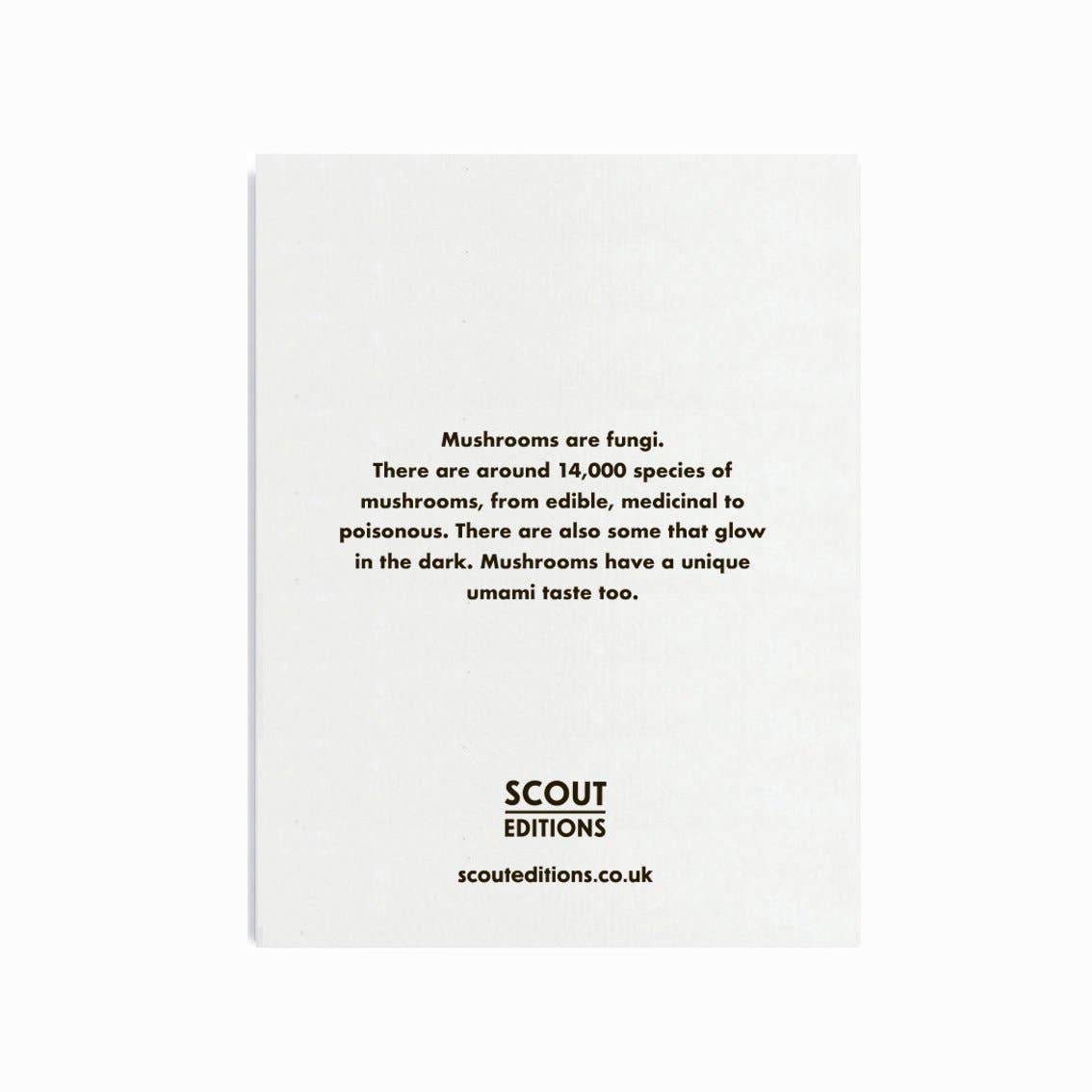 Scout Editions – wholesale Everyday greeting card – Mushrooms Mini Card1