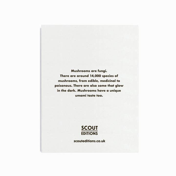 Scout Editions - Wholesale Everyday greeting card - Mushrooms Mini Card1
