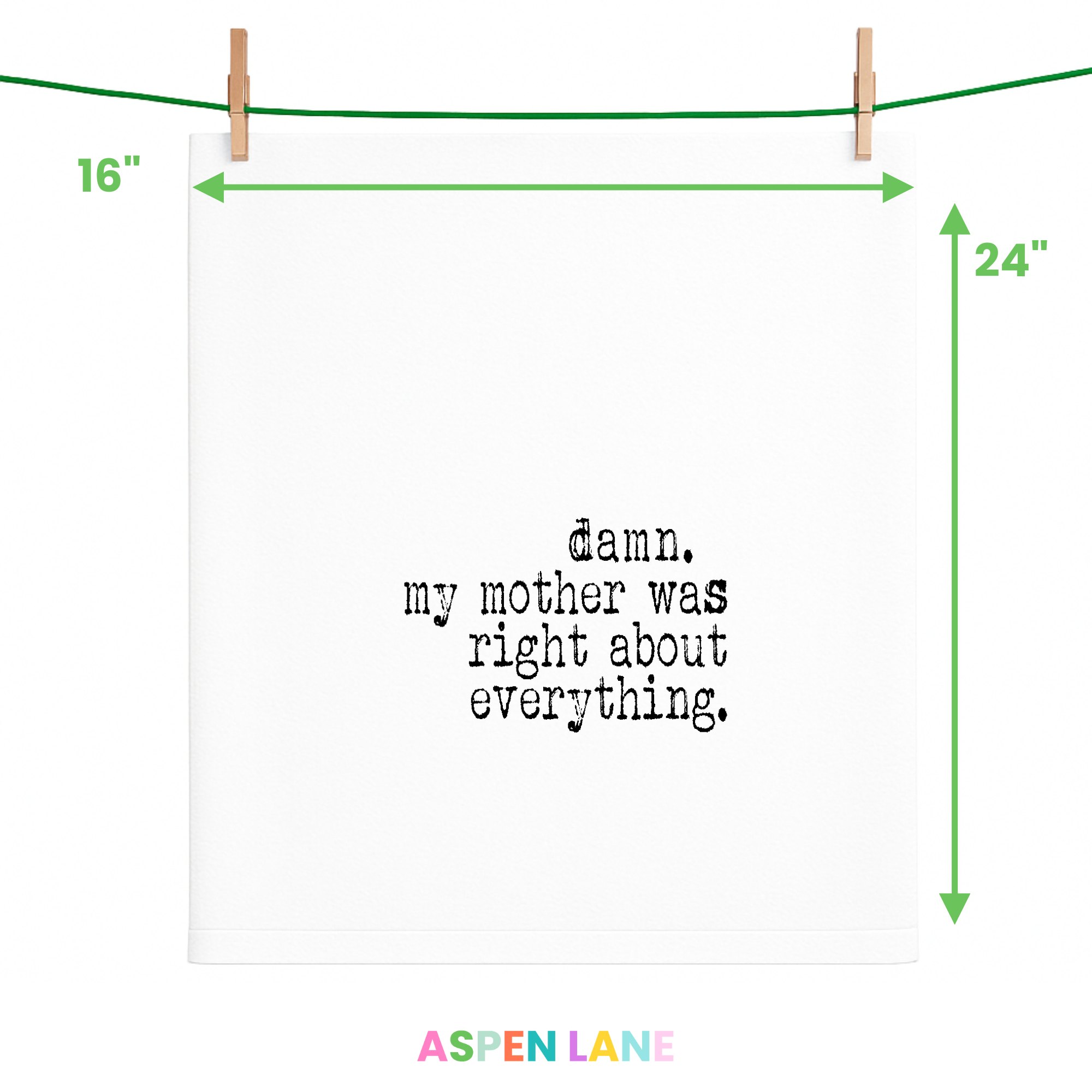 Aspen Lane – wholesale Dishcloth – Damn My Mother was Right about Everything | Gift Towel1