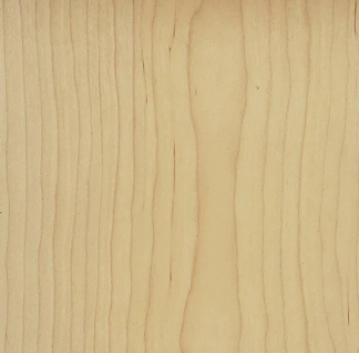 zoo&roo - Wholesale Ornament - Megalodon NC state fossil ornament0