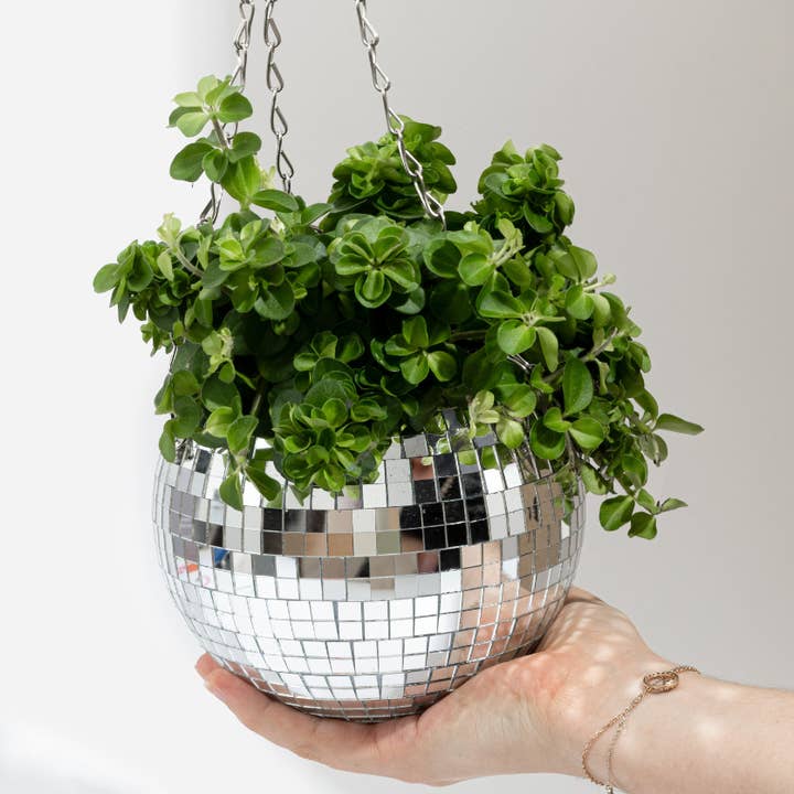 L'expressionist - Wholesale Hanging Planter - Disco ball plant pot 15 cm0