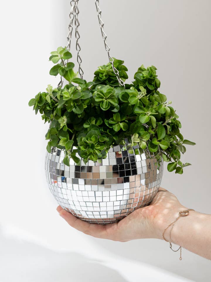Disco ball plant pot 15 cm for wholesale by L'expressionist