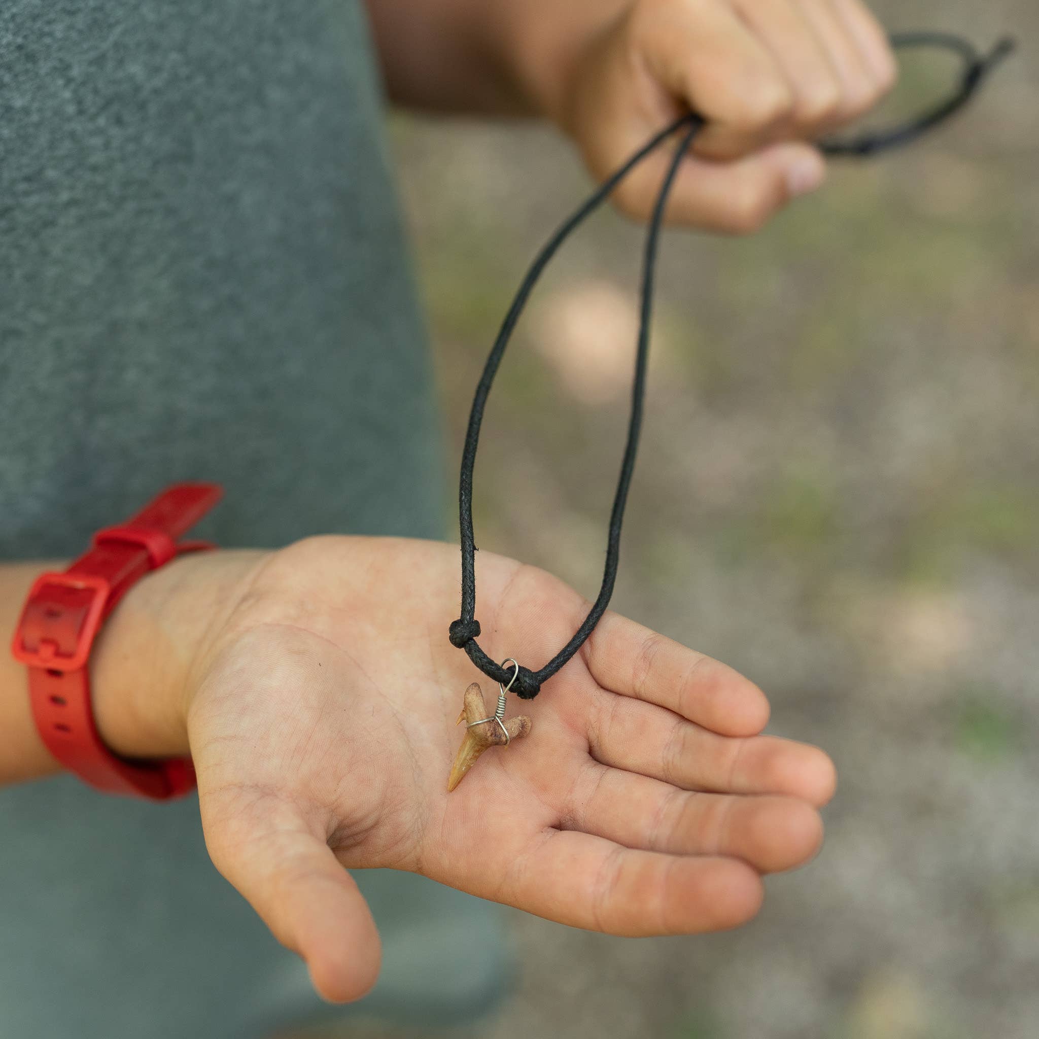 Pawnee Bill’s - Wholesale Pendant/Charm Necklace - Shark Tooth Necklace1