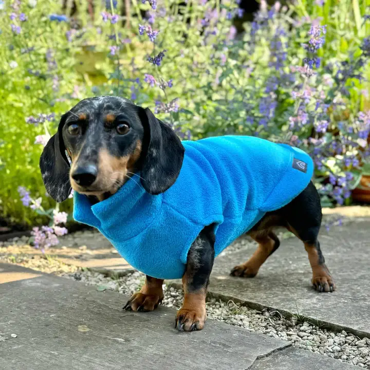 Doghouse – wholesale Pet jumper – Dog – Dachshund Fleece Jumper9