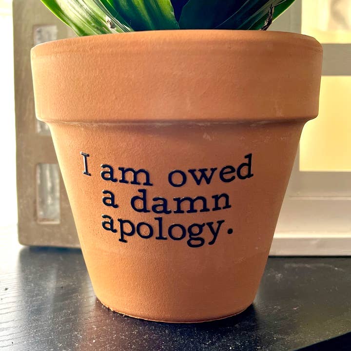 Buffalovely - Wholesale Plant Pot - I Am Owed A Damn Apology Terra Cotta Clay Flower Pot0