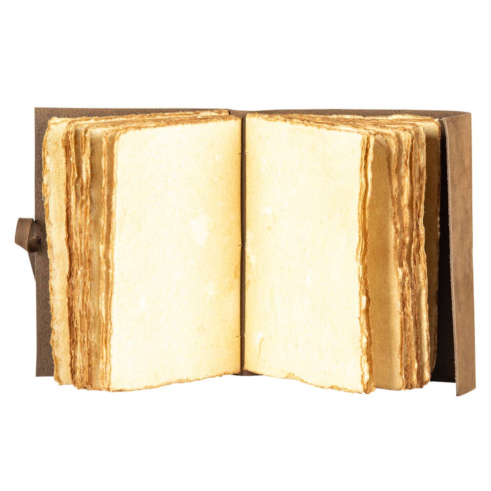 Benjamin International – Engroshandel Dagbog – MØRKEBRUNT RUSKINDSTRÆ MED SOL- OG MÅNEDAGBOG2