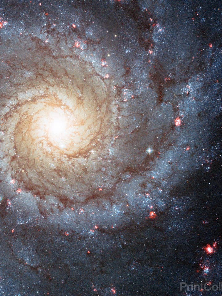 Galaxy M74 voor wholesale door Print Collection