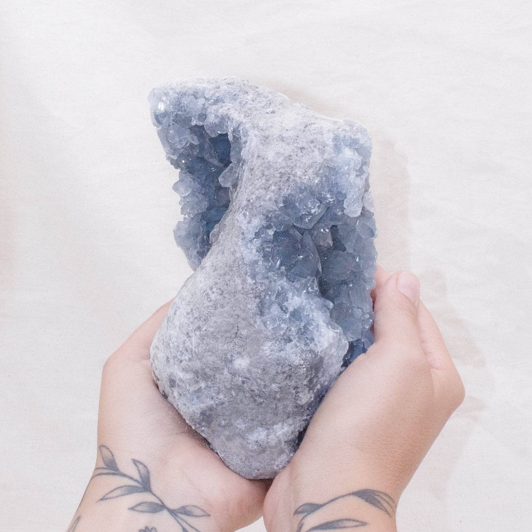 Tiny Rituals - Wholesale Spiritual Stone/Crystal - Celestine Geodes - AAA Premium Quality1