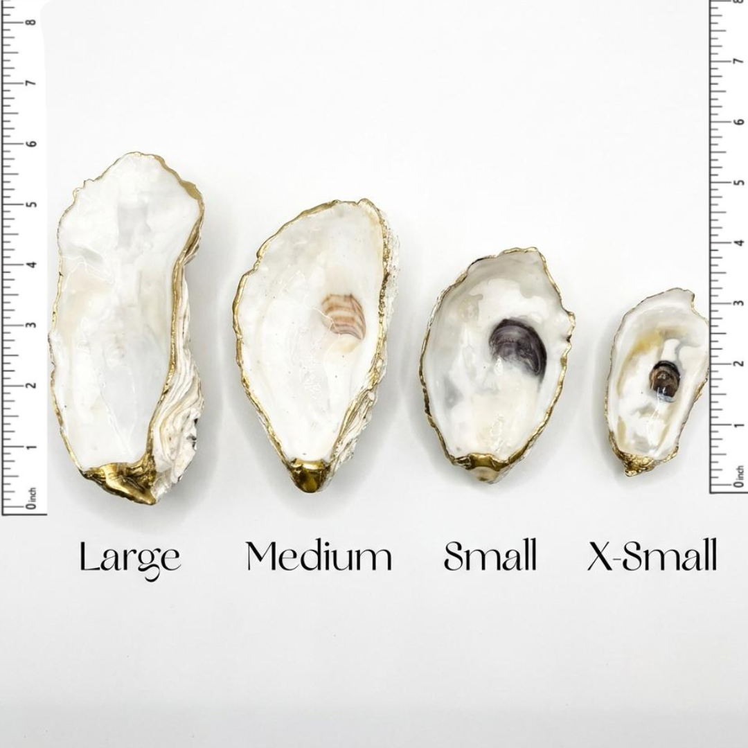 Shell Yeah By Jaks LLC - Vente Plateaux à bijoux - Plat à bibelots en coquille d'huître naturelle avec bordure dorée pour bijoux3