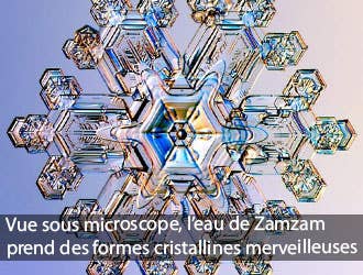 Zayti L.T.D.M - Wholesale Still Water - Authentic Zamzam Water from Mecca - 50cl1