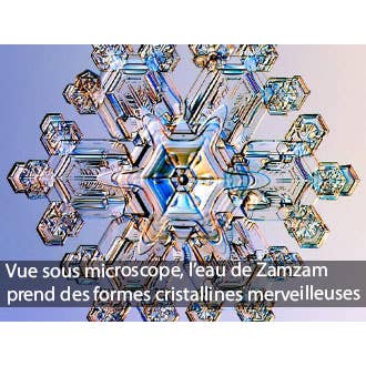 Zayti L.T.D.M - Wholesale Still Water - Authentic Zamzam Water from Mecca - 50cl1