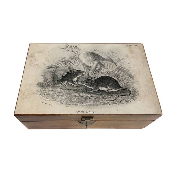 Madison Bay Co. - Historical Home Decor Reproductions - Wholesale Jewelry Box/Organizer - Mouse and Mushroom B&W Decorative Solid Wood Trinket Boxes