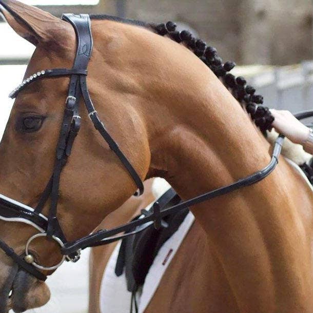 Horse of the world - Vente Après-shampoing/produit de soin pour cheval - Red Pearl2